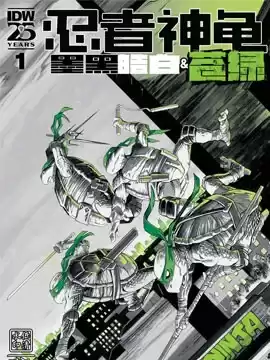 忍者神龟：墨黑、皓白和苍绿海报