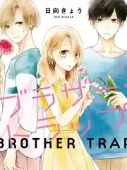 brothertrap兄弟陷阱海报