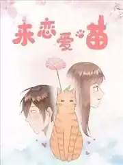 来恋爱喵漫画