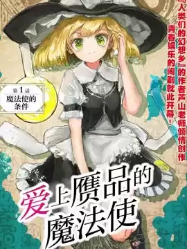 爱上赝品的魔法使漫画