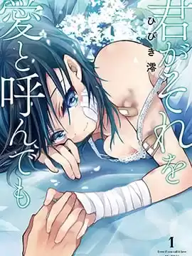 就算你把那叫做愛情漫画